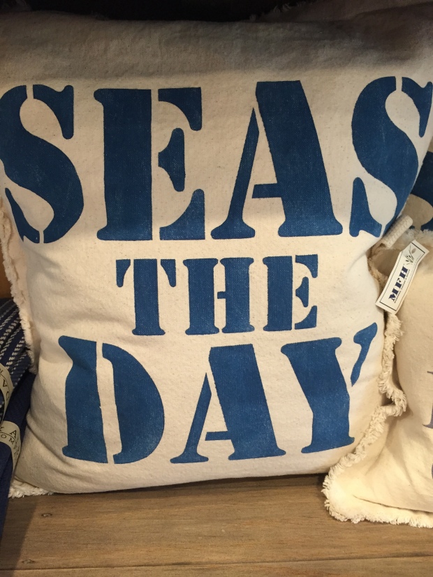 What would summer be without a few soccer tournaments? I saw this pillow in a store up in Bellingham in between games. It's a pun AND an inspiring saying. Plus it's totally nautical.